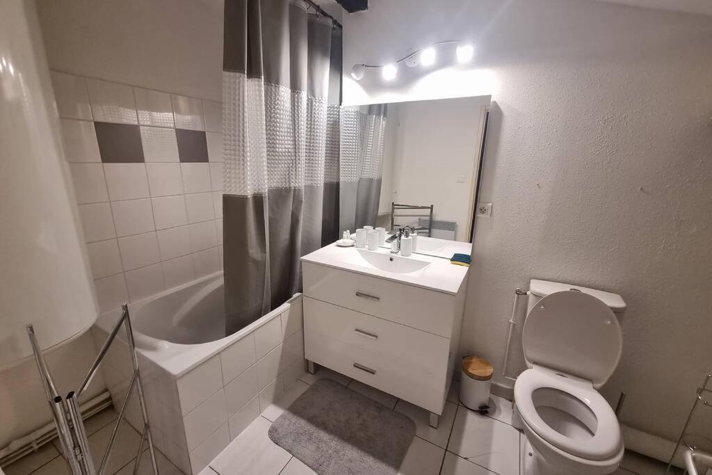 Appartement Exceptionnel 4 Etoiles Hyper Centre Albi 65 M2 Au 4Eme Etage Sans Ascenseur Avec Une Tour Du 12Eme Siecle المظهر الخارجي الصورة